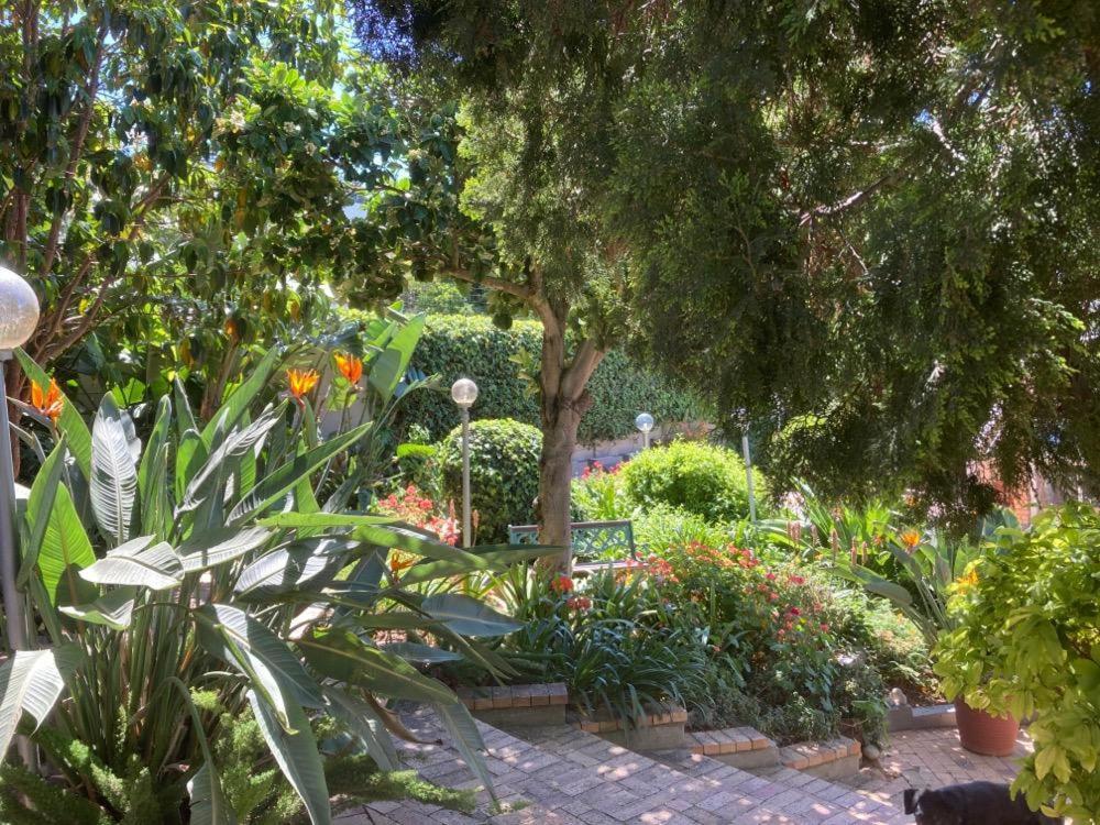 Maroela House Guest Accommodation 벨빌 외부 사진